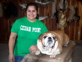 How Much Cost To Make Dog A Service Dog In Florida How Much Cost To Make Dog A Service Dog In Florida